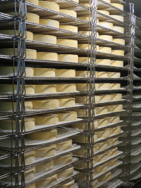 Travelnews.lv iepazīst franču sieru fermu Saint-Nectaire Overņas reģionā 123265