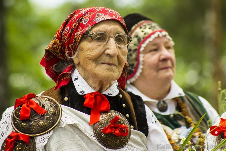 Etnogrāfiskajā brīvdabas muzejā norisinājās Novadu dienas 125085