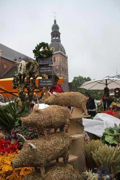 Doma laukumā 20.06.2014 noticis bagātīgs Zāļu tirgus 125700