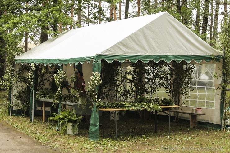 Pasaules saulgriežu festivāla programmu veidoja dziesmas, dejas un rituāli, sākot ar pašmāju un tuvāko kaimiņu skanīgākajiem līgotājiem, Rumānijas un  126010