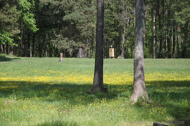 Latgales kempings «Sivers» atrodas Krāslavas novadā un ir burvīga atpūtas vieta tuvāk dabai un veselībai. Vairāk informācijas - 29278599 (Inga) 126795