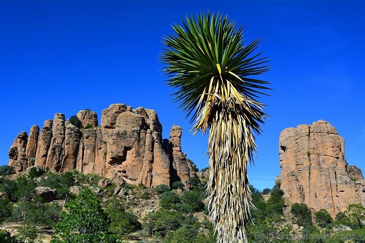 Sierra de Orgaos jeb Ērģeļu kalnu nacionālais parks. 128056