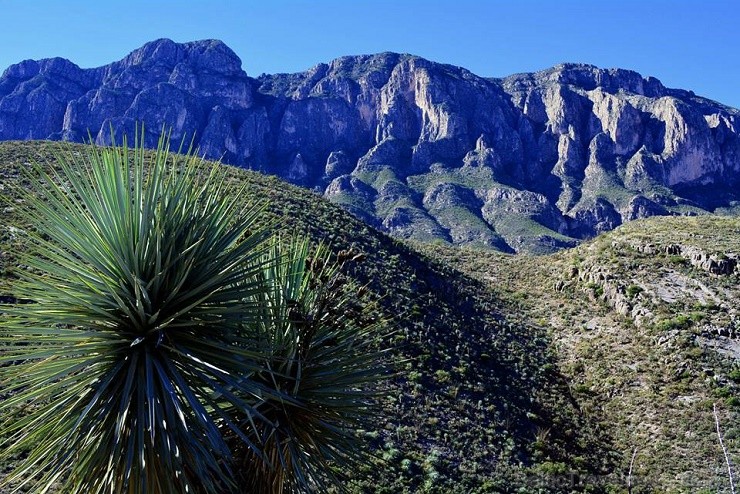 Kalnos, kur klinšainā apkārtne izdaiļota ar visdažādākajiem savvaļas kaktusiem un tuksneša augiem, padarot Ojuedas piedzīvojumu vēl krāsaināku un foto 128074