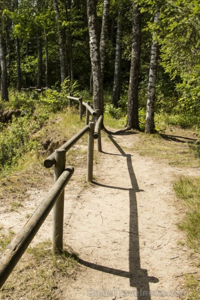 Cēsu apkārtnē noticis jauns taku skriešanas pasākums «Cēsis Eco Trail» 130159