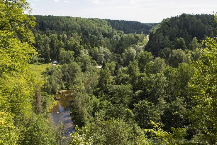 Cēsu apkārtnē noticis jauns taku skriešanas pasākums «Cēsis Eco Trail» 130160