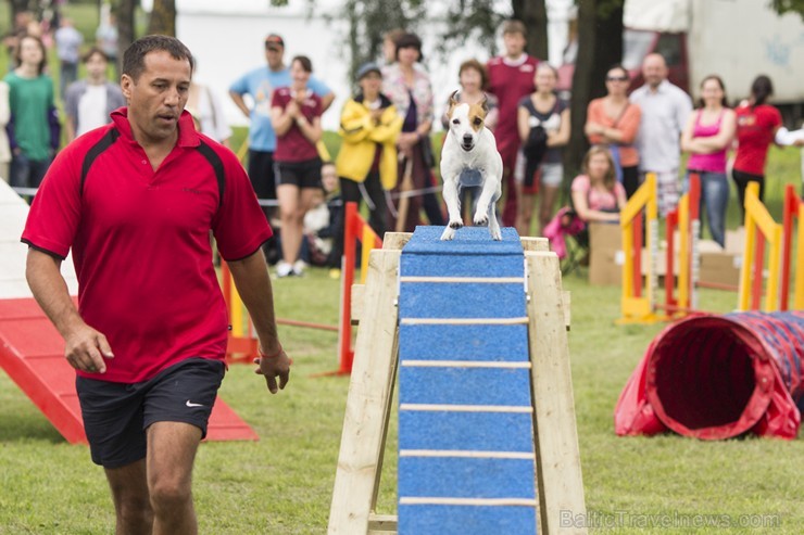 Starptautiskās adžilitī sacensības Riga cup 2014 131516