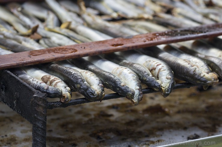 Carnikavā aizvadīti tradicionālie Nēģu svētki 131833