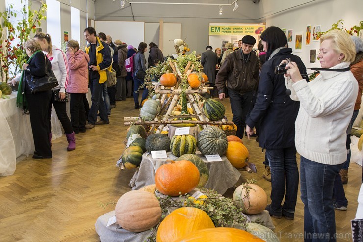 Veselīgie milži ienāk Dabas muzejā 137244