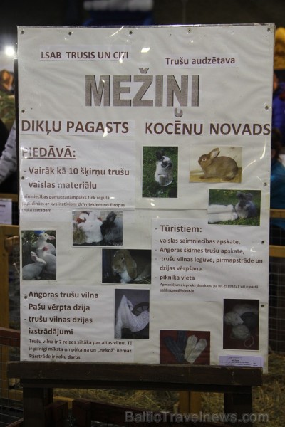 Ķīpsalā pulcējas mājdzīvnieku un mājputnu mīļotāji uz «ZooEkspo 2014» 138475