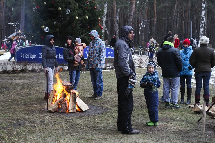 Saulkrastos iedegta lielā svētku egle 139112