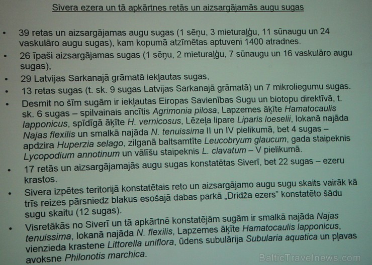 Sivera ezers Latgalē ir iecienīts ne tikai tūristu vidū, bet tagad arī pasaules biologu interesēs 139683