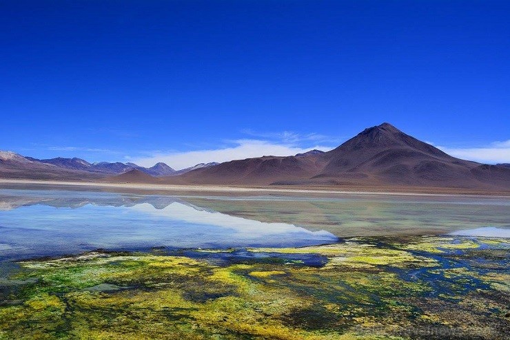 Laguna Blanca piekrastē saulē zaigojas dažādu krāsu minerāli fotogrāfijās kompensējot dīvaini balti-bezkrāsaino ezeru 140747