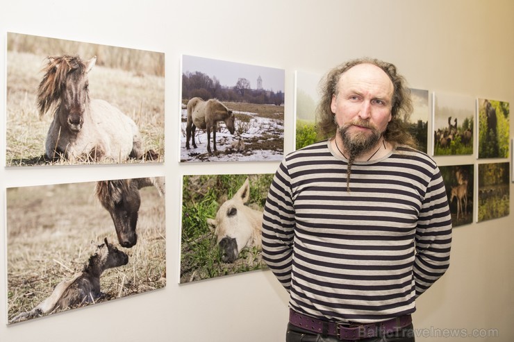 Latvijas Dabas muzejā noticis izglītojošs pasākums, kurā dabas pētnieks Einārs Nordmanis ar priekšlasījumu par savvaļas zirgiem Zooloģijas ekspozīcijā 141110