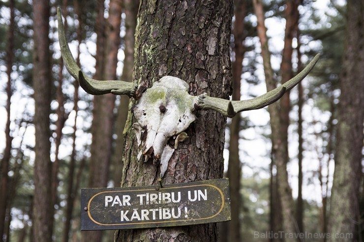 Priedaines Baltā kāpa pamazām tiek noskalota 141337