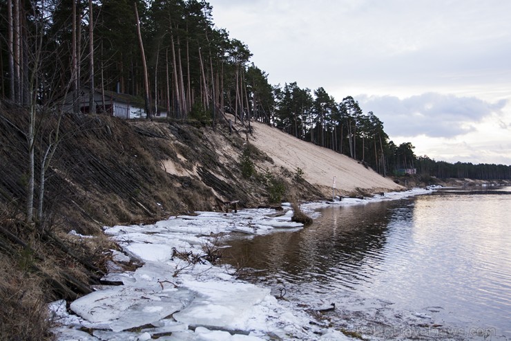 Priedaines Baltā kāpa pamazām tiek noskalota 141338