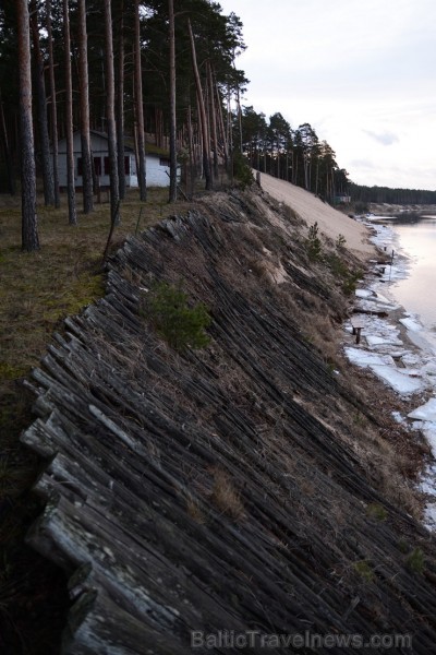 Priedaines Baltā kāpa pamazām tiek noskalota 141341