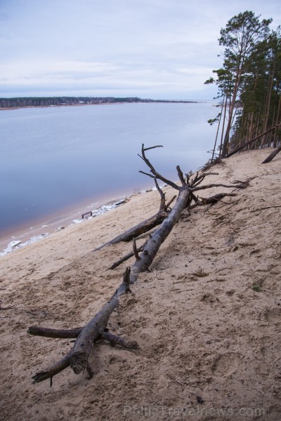 Priedaines Baltā kāpa pamazām tiek noskalota 141347