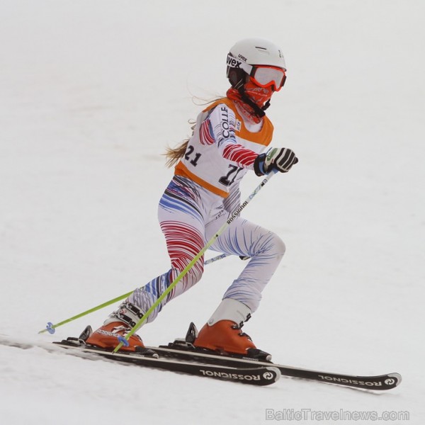 Latvijas kausa pirmais posms kalnu slēpošanā Siguldā pulcē labākos Baltijas sportistus 141976