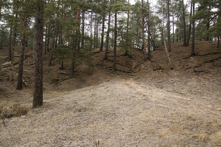 Lilastes dabas parks «Piejūra» ir patīkama pastaigu vieta dabas vērotājiem 143542