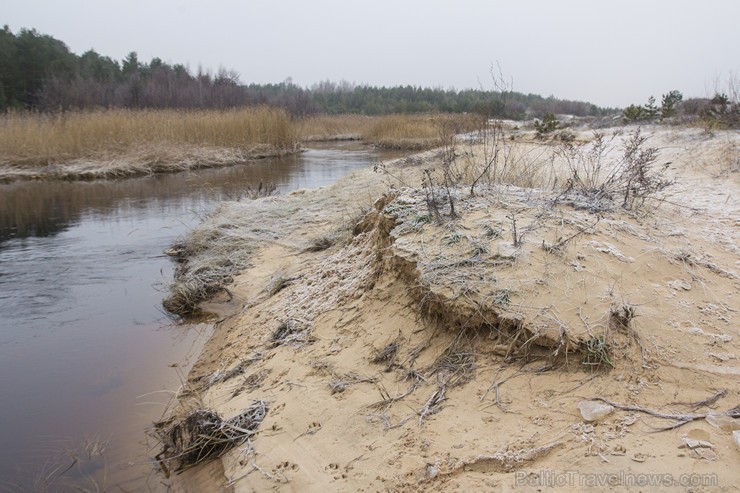 Lilastes dabas parks «Piejūra» ir patīkama pastaigu vieta dabas vērotājiem 143553