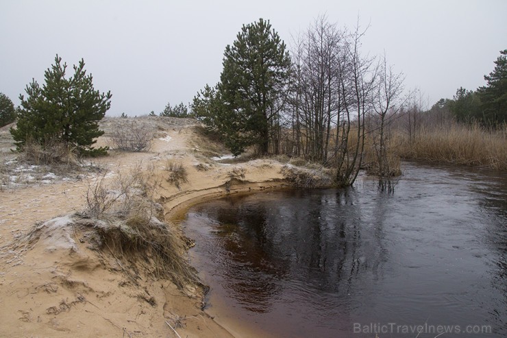 Lilastes dabas parks «Piejūra» ir Vidzemes jūrmalas piekrastes daļa no Lilastes līdz Baltajai kāpai, kurā saglabājusies neskarta daba, aizsargājami au 143561