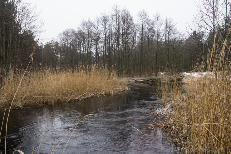 Lilastes dabas parks «Piejūra» ir patīkama pastaigu vieta dabas vērotājiem 143562