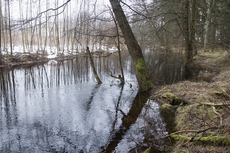 Lilastes dabas parks «Piejūra» ir patīkama pastaigu vieta dabas vērotājiem 143565