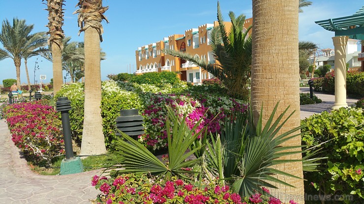 Travelnews.lv redakcija sadarbībā ar tūroperatoru GoAdventure iepazīst Hurgadas viesnīcas «Sentido Mamlouk Palace» un «Sunrise Select Garden Beach Res 144943