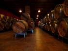 Travelnews.lv iepazīst spāņu reģiona Priorat vīna darītavu Clos de L‘obac www.costersdelsiurana.com 5