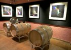 Travelnews.lv iepazīst spāņu reģiona Priorat vīna darītavu Clos de L‘obac www.costersdelsiurana.com 9