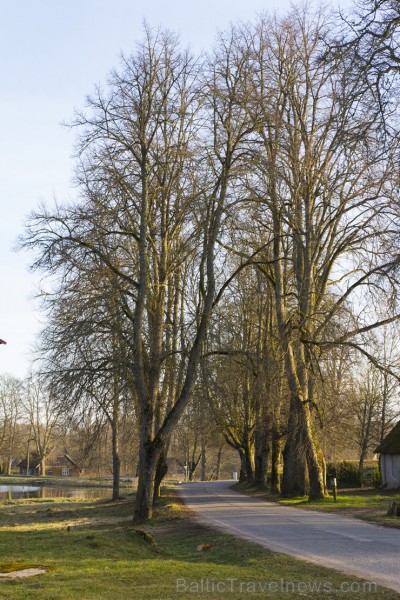 Pie pils 19. gadsimta otrajā pusē grāfs Lambsdorfs ierīkoja parku, kas centrālā daļā ir regulāra plānojuma, tālāk – ainavu parks ar dīķiem 146803