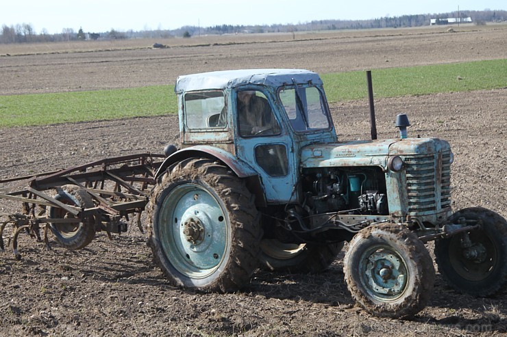 Travelnews.lv redakcija 22.04.2015 novēroja, ka Kurzemē pavasaris ir atnācis daudz ātrāk nekā citos Latvijas reģionos 147258