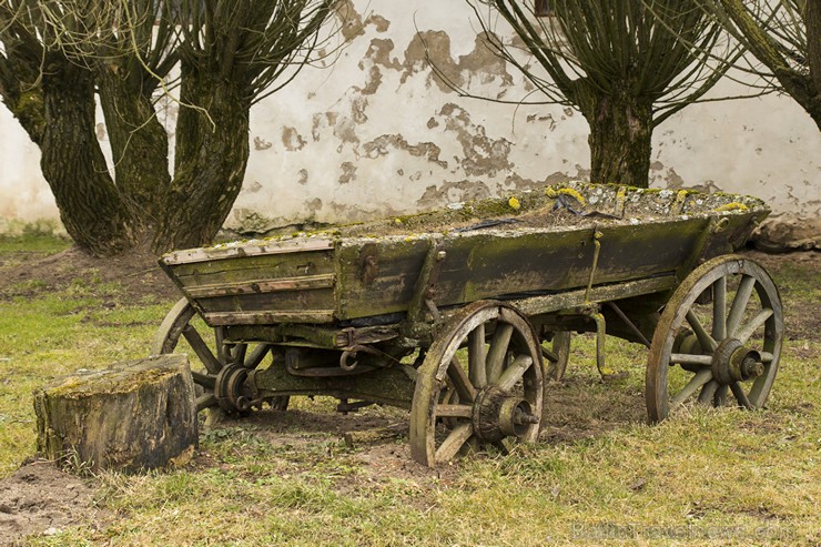 Burtnieku zirgaudzētava ir vecākā zirgaudzētava Latvijā 147540