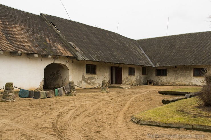 Burtnieku zirgaudzētava ir vecākā zirgaudzētava Latvijā 147542