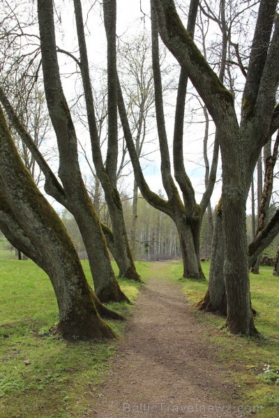 Travelnews.lv redakcija apciemo skaisto Ungurmuižu un piedalās sezonu noslēdzošajā pavārmākslas meistarklasē ar pavārēm no Vinetas un Allas Kārumlādes 148175