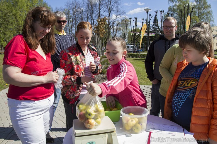 Ģimeņu sporta diena Limbažos iedvesmo ģimenes sportot 148374