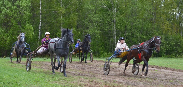 Rikšotāju sacīkstes Robežniekos pārbauda jaunzirgu izturību
Foto: Inga Pudnika 149626