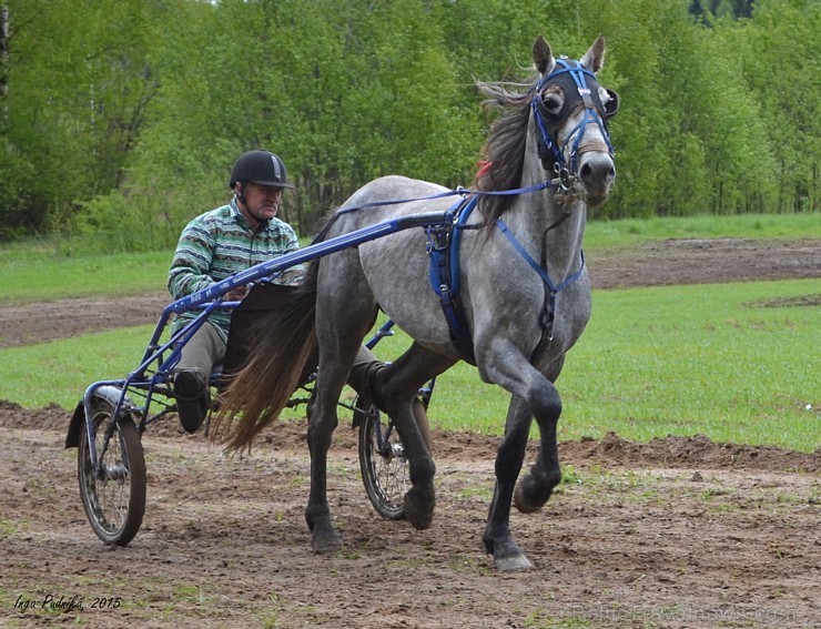 Rikšotāju sacīkstes Robežniekos pārbauda jaunzirgu izturību
Foto: Inga Pudnika 149629