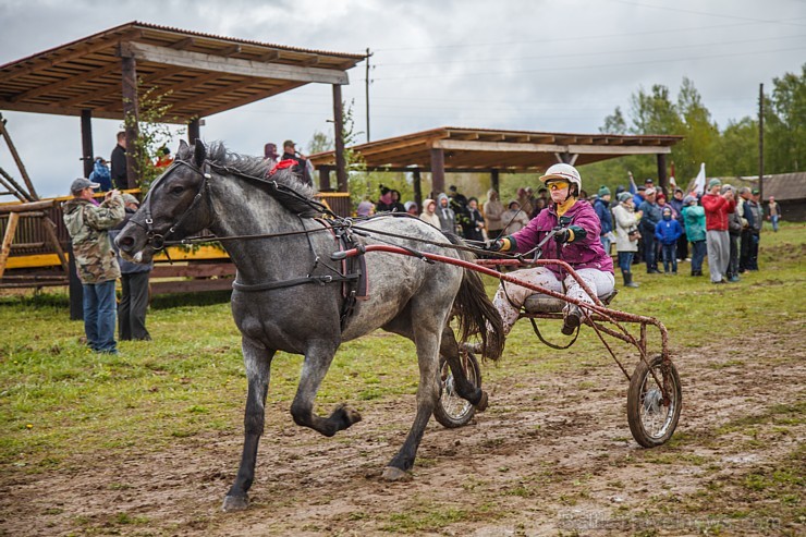 Rikšotāju sacīkstes Robežniekos pārbauda jaunzirgu izturību
Foto: Elvīra Škutāne 149634