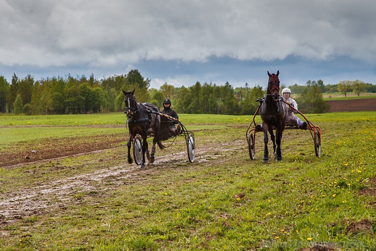 Rikšotāju sacīkstes Robežniekos pārbauda jaunzirgu izturību
Foto: Elvīra Škutāne 149635