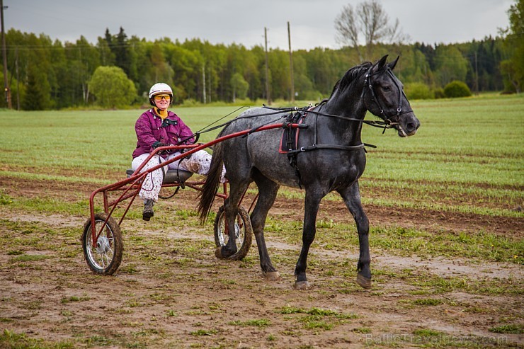 Rikšotāju sacīkstes Robežniekos pārbauda jaunzirgu izturību
Foto: Elvīra Škutāne 149641