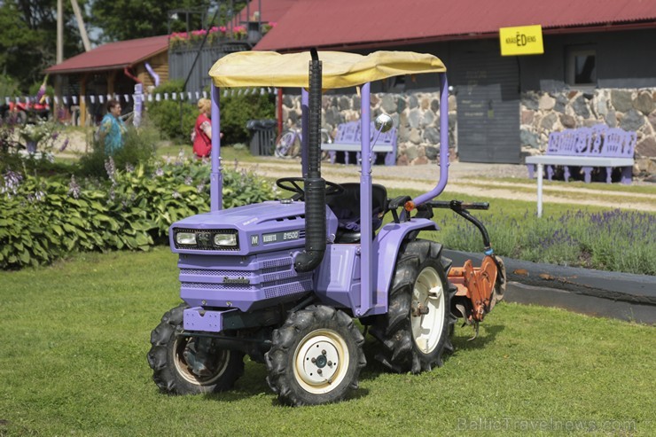 Tradicionālie Lavandu svētki pulcē tūkstošiem apmeklētāju 155768