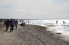 Travelnews.lv apciemo smilšaino Jūrmalas pludmali ar cerību uz siltu vasaru 25