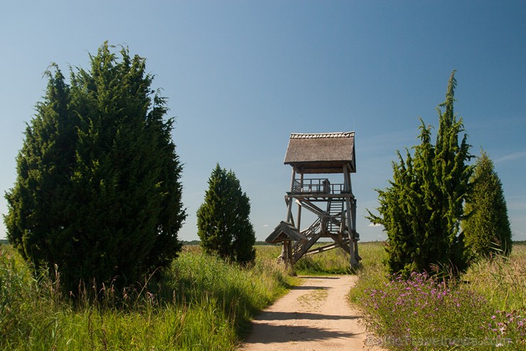 Kaņiera ezers ar putnu vērošanas torni ir viena no labākajām putnu vērošanas vietām 159168