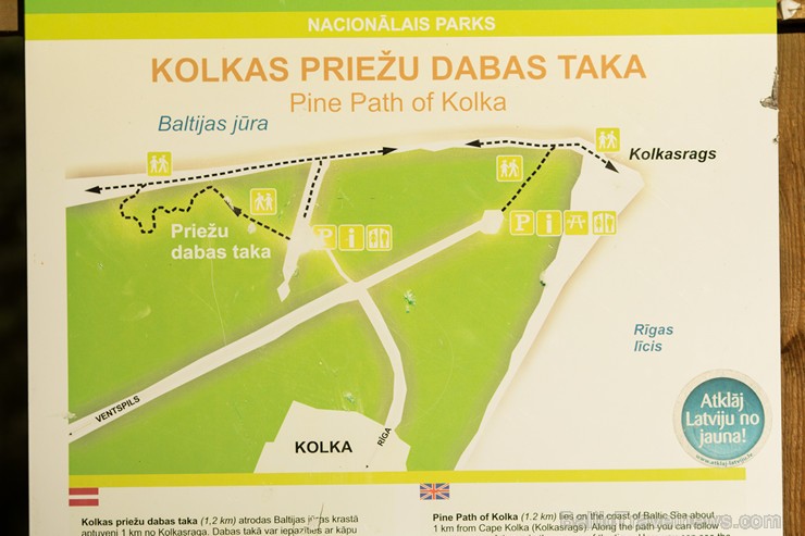 Kolkas priežu dabas takā apskatāmas vecākās mežainās kāpas 159290