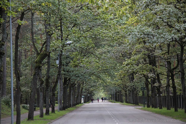 «Nike Riga Run»  treniņi pulcē Mežaparkā simtiem sportisku ļaužu, jo 13.09.2015 (svētdien) entuziasti un profesionāļi sacentīsies lielākajā rudens sta 159866