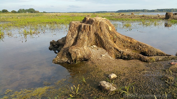 Turpmāk Svētā Meinarda sala būs aizsniedzama tikai pa ūdeni vai ledu 160776