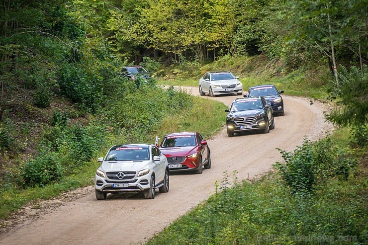 «Latvijas Gada auto 2016» rudens mediju testa brauciens dodas uz Roju 161609