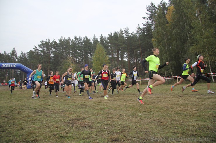 Carnikavā 17.10.2015 notika Latvijas čempionāts krosā 163211