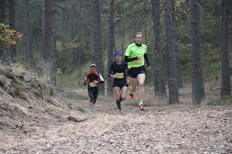 Carnikavā 17.10.2015 notika Latvijas čempionāts krosā 163212